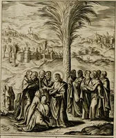 Picture 65 of 259 from Adnotationes et meditationes in Euangelia quae in sacrosancto Missae sacrificio toto anno leguntur: cum eorundem Euangeliorum concordantia (1607), leaf 212