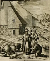 Picture 79 of 259 from Adnotationes et meditationes in Euangelia quae in sacrosancto Missae sacrificio toto anno leguntur: cum eorundem Euangeliorum concordantia (1607), leaf 242