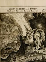 Picture 140 of 259 from Adnotationes et meditationes in Euangelia quae in sacrosancto Missae sacrificio toto anno leguntur: cum eorundem Euangeliorum concordantia (1607), leaf 431