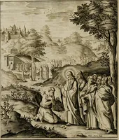 Picture 235 of 259 from Adnotationes et meditationes in Euangelia quae in sacrosancto Missae sacrificio toto anno leguntur: cum eorundem Euangeliorum concordantia (1607), leaf 826