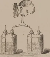Picture 29 of 32 from A course of six lectures on the chemical history of a candle [electronic resource]: to which is added, a lecture on platinum (1865), leaf 173