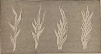 An illustration from A course of six lectures on the chemical history of a candle [electronic resource]: to which is added, a lecture on platinum (1865)