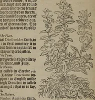 Picture 130 of 801 from A nievve herball, or Historie of plantes : wherein is contayned the whole discourse and perfect description of all sortes of herbes and plantes : their divers & sundry kindes ... and that not onely of those whiche are here growyng in this our countrie of Englande, but of all others also of forrayne realmes commonly used in physicke ; first set foorth in the Doutche or Almaigne tongue (1578), leaf 139