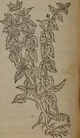 Picture 149 of 801 from A nievve herball, or Historie of plantes : wherein is contayned the whole discourse and perfect description of all sortes of herbes and plantes : their divers & sundry kindes ... and that not onely of those whiche are here growyng in this our countrie of Englande, but of all others also of forrayne realmes commonly used in physicke ; first set foorth in the Doutche or Almaigne tongue (1578), leaf 157