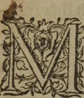 An illustration from A nievve herball, or Historie of plantes : wherein is contayned the whole discourse and perfect description of all sortes of herbes and plantes : their divers & sundry kindes ... and that not onely of those whiche are here growyng in this our countrie of Englande, but of all others also of forrayne realmes commonly used in physicke ; first set foorth in the Doutche or Almaigne tongue (1578)