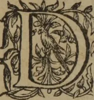 Picture 169 of 801 from A nievve herball, or Historie of plantes : wherein is contayned the whole discourse and perfect description of all sortes of herbes and plantes : their divers & sundry kindes ... and that not onely of those whiche are here growyng in this our countrie of Englande, but of all others also of forrayne realmes commonly used in physicke ; first set foorth in the Doutche or Almaigne tongue (1578), leaf 179
