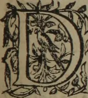 Picture 329 of 801 from A nievve herball, or Historie of plantes : wherein is contayned the whole discourse and perfect description of all sortes of herbes and plantes : their divers & sundry kindes ... and that not onely of those whiche are here growyng in this our countrie of Englande, but of all others also of forrayne realmes commonly used in physicke ; first set foorth in the Doutche or Almaigne tongue (1578), leaf 360