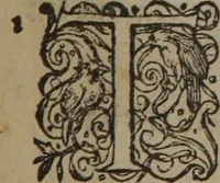 An illustration from A nievve herball, or Historie of plantes : wherein is contayned the whole discourse and perfect description of all sortes of herbes and plantes : their divers & sundry kindes ... and that not onely of those whiche are here growyng in this our countrie of Englande, but of all others also of forrayne realmes commonly used in physicke ; first set foorth in the Doutche or Almaigne tongue (1578)