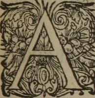 An illustration from A nievve herball, or Historie of plantes : wherein is contayned the whole discourse and perfect description of all sortes of herbes and plantes : their divers & sundry kindes ... and that not onely of those whiche are here growyng in this our countrie of Englande, but of all others also of forrayne realmes commonly used in physicke ; first set foorth in the Doutche or Almaigne tongue (1578)