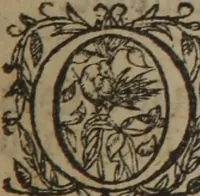 Picture 378 of 801 from A nievve herball, or Historie of plantes : wherein is contayned the whole discourse and perfect description of all sortes of herbes and plantes : their divers & sundry kindes ... and that not onely of those whiche are here growyng in this our countrie of Englande, but of all others also of forrayne realmes commonly used in physicke ; first set foorth in the Doutche or Almaigne tongue (1578), leaf 410