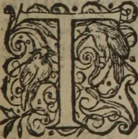 Picture 381 of 801 from A nievve herball, or Historie of plantes : wherein is contayned the whole discourse and perfect description of all sortes of herbes and plantes : their divers & sundry kindes ... and that not onely of those whiche are here growyng in this our countrie of Englande, but of all others also of forrayne realmes commonly used in physicke ; first set foorth in the Doutche or Almaigne tongue (1578), leaf 412