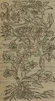 Picture 383 of 801 from A nievve herball, or Historie of plantes : wherein is contayned the whole discourse and perfect description of all sortes of herbes and plantes : their divers & sundry kindes ... and that not onely of those whiche are here growyng in this our countrie of Englande, but of all others also of forrayne realmes commonly used in physicke ; first set foorth in the Doutche or Almaigne tongue (1578), leaf 414