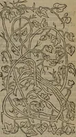 Picture 384 of 801 from A nievve herball, or Historie of plantes : wherein is contayned the whole discourse and perfect description of all sortes of herbes and plantes : their divers & sundry kindes ... and that not onely of those whiche are here growyng in this our countrie of Englande, but of all others also of forrayne realmes commonly used in physicke ; first set foorth in the Doutche or Almaigne tongue (1578), leaf 414