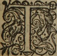 Picture 385 of 801 from A nievve herball, or Historie of plantes : wherein is contayned the whole discourse and perfect description of all sortes of herbes and plantes : their divers & sundry kindes ... and that not onely of those whiche are here growyng in this our countrie of Englande, but of all others also of forrayne realmes commonly used in physicke ; first set foorth in the Doutche or Almaigne tongue (1578), leaf 414