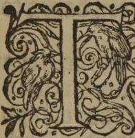Picture 391 of 801 from A nievve herball, or Historie of plantes : wherein is contayned the whole discourse and perfect description of all sortes of herbes and plantes : their divers & sundry kindes ... and that not onely of those whiche are here growyng in this our countrie of Englande, but of all others also of forrayne realmes commonly used in physicke ; first set foorth in the Doutche or Almaigne tongue (1578), leaf 419
