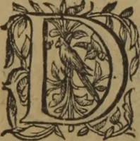Picture 397 of 801 from A nievve herball, or Historie of plantes : wherein is contayned the whole discourse and perfect description of all sortes of herbes and plantes : their divers & sundry kindes ... and that not onely of those whiche are here growyng in this our countrie of Englande, but of all others also of forrayne realmes commonly used in physicke ; first set foorth in the Doutche or Almaigne tongue (1578), leaf 425