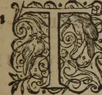 An illustration from A nievve herball, or Historie of plantes : wherein is contayned the whole discourse and perfect description of all sortes of herbes and plantes : their divers & sundry kindes ... and that not onely of those whiche are here growyng in this our countrie of Englande, but of all others also of forrayne realmes commonly used in physicke ; first set foorth in the Doutche or Almaigne tongue (1578)