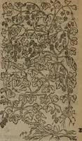 Picture 399 of 801 from A nievve herball, or Historie of plantes : wherein is contayned the whole discourse and perfect description of all sortes of herbes and plantes : their divers & sundry kindes ... and that not onely of those whiche are here growyng in this our countrie of Englande, but of all others also of forrayne realmes commonly used in physicke ; first set foorth in the Doutche or Almaigne tongue (1578), leaf 427