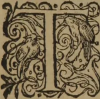 Picture 403 of 801 from A nievve herball, or Historie of plantes : wherein is contayned the whole discourse and perfect description of all sortes of herbes and plantes : their divers & sundry kindes ... and that not onely of those whiche are here growyng in this our countrie of Englande, but of all others also of forrayne realmes commonly used in physicke ; first set foorth in the Doutche or Almaigne tongue (1578), leaf 429