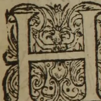 An illustration from A nievve herball, or Historie of plantes : wherein is contayned the whole discourse and perfect description of all sortes of herbes and plantes : their divers & sundry kindes ... and that not onely of those whiche are here growyng in this our countrie of Englande, but of all others also of forrayne realmes commonly used in physicke ; first set foorth in the Doutche or Almaigne tongue (1578)