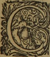 Picture 415 of 801 from A nievve herball, or Historie of plantes : wherein is contayned the whole discourse and perfect description of all sortes of herbes and plantes : their divers & sundry kindes ... and that not onely of those whiche are here growyng in this our countrie of Englande, but of all others also of forrayne realmes commonly used in physicke ; first set foorth in the Doutche or Almaigne tongue (1578), leaf 434