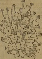Picture 419 of 801 from A nievve herball, or Historie of plantes : wherein is contayned the whole discourse and perfect description of all sortes of herbes and plantes : their divers & sundry kindes ... and that not onely of those whiche are here growyng in this our countrie of Englande, but of all others also of forrayne realmes commonly used in physicke ; first set foorth in the Doutche or Almaigne tongue (1578), leaf 438