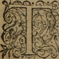 Picture 420 of 801 from A nievve herball, or Historie of plantes : wherein is contayned the whole discourse and perfect description of all sortes of herbes and plantes : their divers & sundry kindes ... and that not onely of those whiche are here growyng in this our countrie of Englande, but of all others also of forrayne realmes commonly used in physicke ; first set foorth in the Doutche or Almaigne tongue (1578), leaf 438