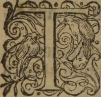 Picture 431 of 801 from A nievve herball, or Historie of plantes : wherein is contayned the whole discourse and perfect description of all sortes of herbes and plantes : their divers & sundry kindes ... and that not onely of those whiche are here growyng in this our countrie of Englande, but of all others also of forrayne realmes commonly used in physicke ; first set foorth in the Doutche or Almaigne tongue (1578), leaf 443
