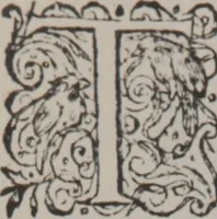An illustration from A nievve herball, or Historie of plantes : wherein is contayned the whole discourse and perfect description of all sortes of herbes and plantes : their divers & sundry kindes ... and that not onely of those whiche are here growyng in this our countrie of Englande, but of all others also of forrayne realmes commonly used in physicke ; first set foorth in the Doutche or Almaigne tongue (1578)