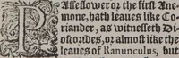 Picture 438 of 801 from A nievve herball, or Historie of plantes : wherein is contayned the whole discourse and perfect description of all sortes of herbes and plantes : their divers & sundry kindes ... and that not onely of those whiche are here growyng in this our countrie of Englande, but of all others also of forrayne realmes commonly used in physicke ; first set foorth in the Doutche or Almaigne tongue (1578), leaf 449