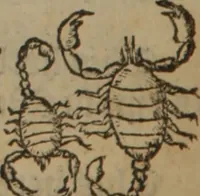 Picture 446 of 801 from A nievve herball, or Historie of plantes : wherein is contayned the whole discourse and perfect description of all sortes of herbes and plantes : their divers & sundry kindes ... and that not onely of those whiche are here growyng in this our countrie of Englande, but of all others also of forrayne realmes commonly used in physicke ; first set foorth in the Doutche or Almaigne tongue (1578), leaf 453
