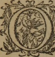 Picture 451 of 801 from A nievve herball, or Historie of plantes : wherein is contayned the whole discourse and perfect description of all sortes of herbes and plantes : their divers & sundry kindes ... and that not onely of those whiche are here growyng in this our countrie of Englande, but of all others also of forrayne realmes commonly used in physicke ; first set foorth in the Doutche or Almaigne tongue (1578), leaf 457