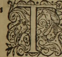Picture 462 of 801 from A nievve herball, or Historie of plantes : wherein is contayned the whole discourse and perfect description of all sortes of herbes and plantes : their divers & sundry kindes ... and that not onely of those whiche are here growyng in this our countrie of Englande, but of all others also of forrayne realmes commonly used in physicke ; first set foorth in the Doutche or Almaigne tongue (1578), leaf 468