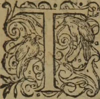 Picture 468 of 801 from A nievve herball, or Historie of plantes : wherein is contayned the whole discourse and perfect description of all sortes of herbes and plantes : their divers & sundry kindes ... and that not onely of those whiche are here growyng in this our countrie of Englande, but of all others also of forrayne realmes commonly used in physicke ; first set foorth in the Doutche or Almaigne tongue (1578), leaf 473