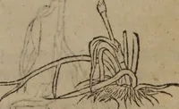 Picture 482 of 801 from A nievve herball, or Historie of plantes : wherein is contayned the whole discourse and perfect description of all sortes of herbes and plantes : their divers & sundry kindes ... and that not onely of those whiche are here growyng in this our countrie of Englande, but of all others also of forrayne realmes commonly used in physicke ; first set foorth in the Doutche or Almaigne tongue (1578), leaf 486