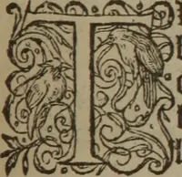 Picture 508 of 801 from A nievve herball, or Historie of plantes : wherein is contayned the whole discourse and perfect description of all sortes of herbes and plantes : their divers & sundry kindes ... and that not onely of those whiche are here growyng in this our countrie of Englande, but of all others also of forrayne realmes commonly used in physicke ; first set foorth in the Doutche or Almaigne tongue (1578), leaf 504