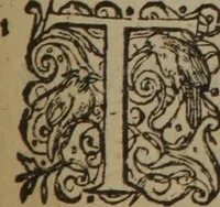 Picture 539 of 801 from A nievve herball, or Historie of plantes : wherein is contayned the whole discourse and perfect description of all sortes of herbes and plantes : their divers & sundry kindes ... and that not onely of those whiche are here growyng in this our countrie of Englande, but of all others also of forrayne realmes commonly used in physicke ; first set foorth in the Doutche or Almaigne tongue (1578), leaf 534