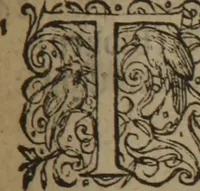 An illustration from A nievve herball, or Historie of plantes : wherein is contayned the whole discourse and perfect description of all sortes of herbes and plantes : their divers & sundry kindes ... and that not onely of those whiche are here growyng in this our countrie of Englande, but of all others also of forrayne realmes commonly used in physicke ; first set foorth in the Doutche or Almaigne tongue (1578)