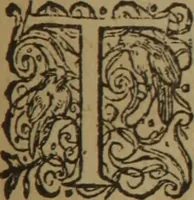 Picture 559 of 801 from A nievve herball, or Historie of plantes : wherein is contayned the whole discourse and perfect description of all sortes of herbes and plantes : their divers & sundry kindes ... and that not onely of those whiche are here growyng in this our countrie of Englande, but of all others also of forrayne realmes commonly used in physicke ; first set foorth in the Doutche or Almaigne tongue (1578), leaf 552