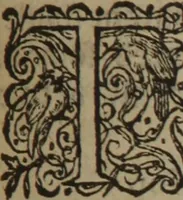 An illustration from A nievve herball, or Historie of plantes : wherein is contayned the whole discourse and perfect description of all sortes of herbes and plantes : their divers & sundry kindes ... and that not onely of those whiche are here growyng in this our countrie of Englande, but of all others also of forrayne realmes commonly used in physicke ; first set foorth in the Doutche or Almaigne tongue (1578)