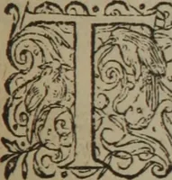 An illustration from A nievve herball, or Historie of plantes : wherein is contayned the whole discourse and perfect description of all sortes of herbes and plantes : their divers & sundry kindes ... and that not onely of those whiche are here growyng in this our countrie of Englande, but of all others also of forrayne realmes commonly used in physicke ; first set foorth in the Doutche or Almaigne tongue (1578)