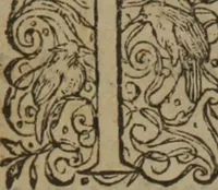 An illustration from A nievve herball, or Historie of plantes : wherein is contayned the whole discourse and perfect description of all sortes of herbes and plantes : their divers & sundry kindes ... and that not onely of those whiche are here growyng in this our countrie of Englande, but of all others also of forrayne realmes commonly used in physicke ; first set foorth in the Doutche or Almaigne tongue (1578)