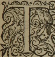 An illustration from A nievve herball, or Historie of plantes : wherein is contayned the whole discourse and perfect description of all sortes of herbes and plantes : their divers & sundry kindes ... and that not onely of those whiche are here growyng in this our countrie of Englande, but of all others also of forrayne realmes commonly used in physicke ; first set foorth in the Doutche or Almaigne tongue (1578)
