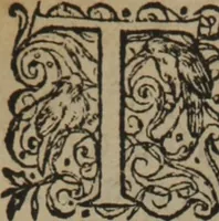 An illustration from A nievve herball, or Historie of plantes : wherein is contayned the whole discourse and perfect description of all sortes of herbes and plantes : their divers & sundry kindes ... and that not onely of those whiche are here growyng in this our countrie of Englande, but of all others also of forrayne realmes commonly used in physicke ; first set foorth in the Doutche or Almaigne tongue (1578)