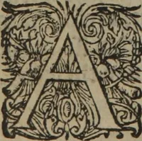 An illustration from A nievve herball, or Historie of plantes : wherein is contayned the whole discourse and perfect description of all sortes of herbes and plantes : their divers & sundry kindes ... and that not onely of those whiche are here growyng in this our countrie of Englande, but of all others also of forrayne realmes commonly used in physicke ; first set foorth in the Doutche or Almaigne tongue (1578)