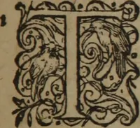 An illustration from A nievve herball, or Historie of plantes : wherein is contayned the whole discourse and perfect description of all sortes of herbes and plantes : their divers & sundry kindes ... and that not onely of those whiche are here growyng in this our countrie of Englande, but of all others also of forrayne realmes commonly used in physicke ; first set foorth in the Doutche or Almaigne tongue (1578)