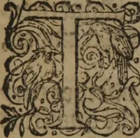 An illustration from A nievve herball, or Historie of plantes : wherein is contayned the whole discourse and perfect description of all sortes of herbes and plantes : their divers & sundry kindes ... and that not onely of those whiche are here growyng in this our countrie of Englande, but of all others also of forrayne realmes commonly used in physicke ; first set foorth in the Doutche or Almaigne tongue (1578)