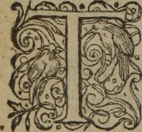 An illustration from A nievve herball, or Historie of plantes : wherein is contayned the whole discourse and perfect description of all sortes of herbes and plantes : their divers & sundry kindes ... and that not onely of those whiche are here growyng in this our countrie of Englande, but of all others also of forrayne realmes commonly used in physicke ; first set foorth in the Doutche or Almaigne tongue (1578)
