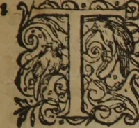 An illustration from A nievve herball, or Historie of plantes : wherein is contayned the whole discourse and perfect description of all sortes of herbes and plantes : their divers & sundry kindes ... and that not onely of those whiche are here growyng in this our countrie of Englande, but of all others also of forrayne realmes commonly used in physicke ; first set foorth in the Doutche or Almaigne tongue (1578)
