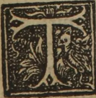An illustration from A nievve herball, or Historie of plantes : wherein is contayned the whole discourse and perfect description of all sortes of herbes and plantes : their divers & sundry kindes ... and that not onely of those whiche are here growyng in this our countrie of Englande, but of all others also of forrayne realmes commonly used in physicke ; first set foorth in the Doutche or Almaigne tongue (1578)
